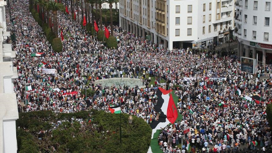 المغرب.. أكثر من 111 مظاهرة في 60 مدينة دعما لغزة
