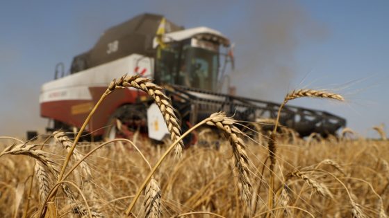 "موسم فلاحي صعب".. وزارة الفلاحة تتوقع انخفاضا مقلقا في إنتاج الحبوب هذه السنة