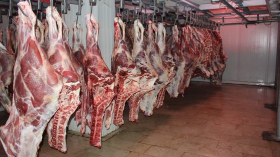 كم نسبة لحم الأضحية في الاستهلاك السنوي للأسر المغربية؟ مندوبية التخطيط توضح