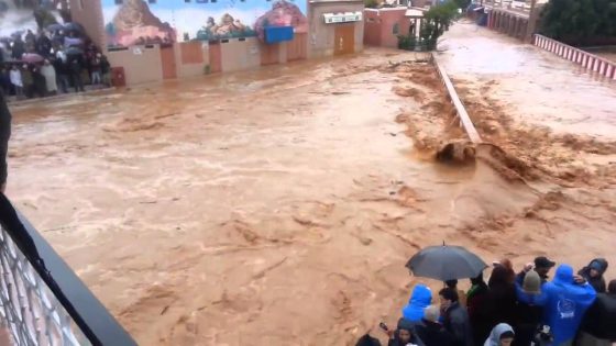 فيضانات الجنوب الشرقي.. منح مساعدات مالية للسكان الذين هدمت مساكنهم