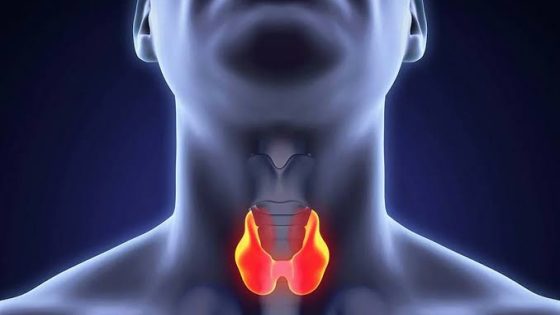 الغدة الدرقية والأمراض المرتبطة بها