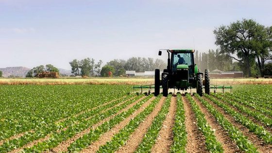 انتعاش النمو الاقتصادي الفلاحي بالمغرب بنسبة 5.1 في المائة